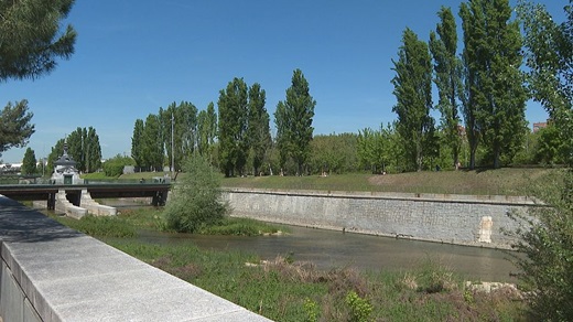 Bosque de ribera en el renaturalizado río Manzanares REPOR